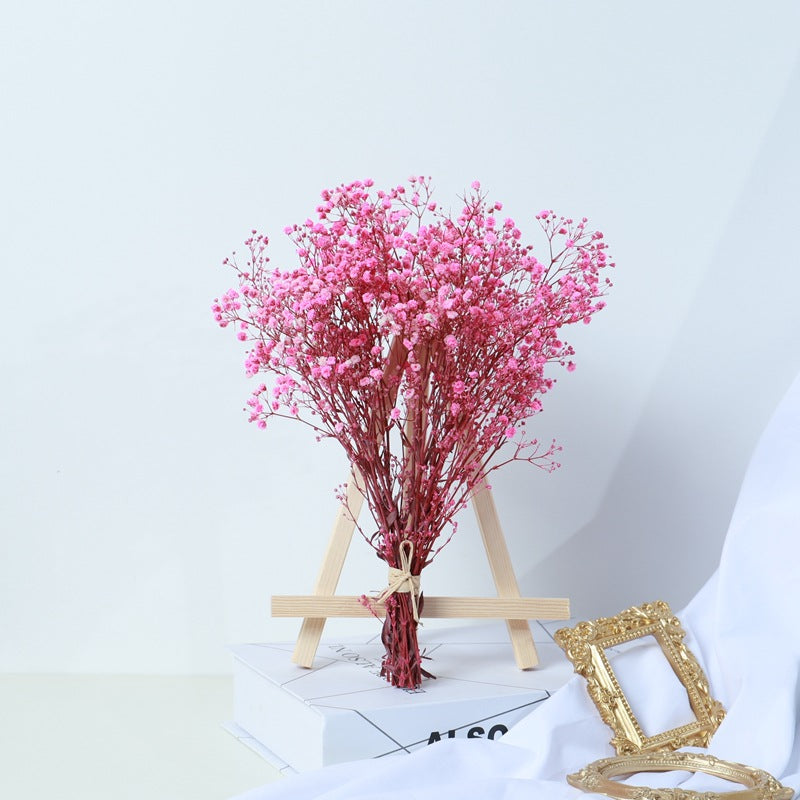Bouquet de gypsophile séchée rose