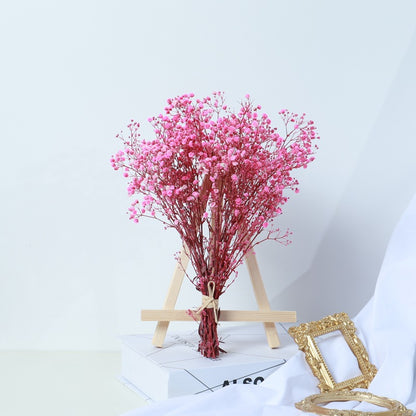 Bouquet de gypsophile séchée rose