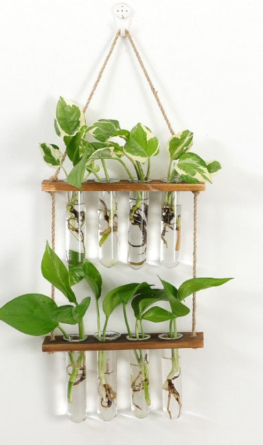 Station de bouturage murale en verre et bois