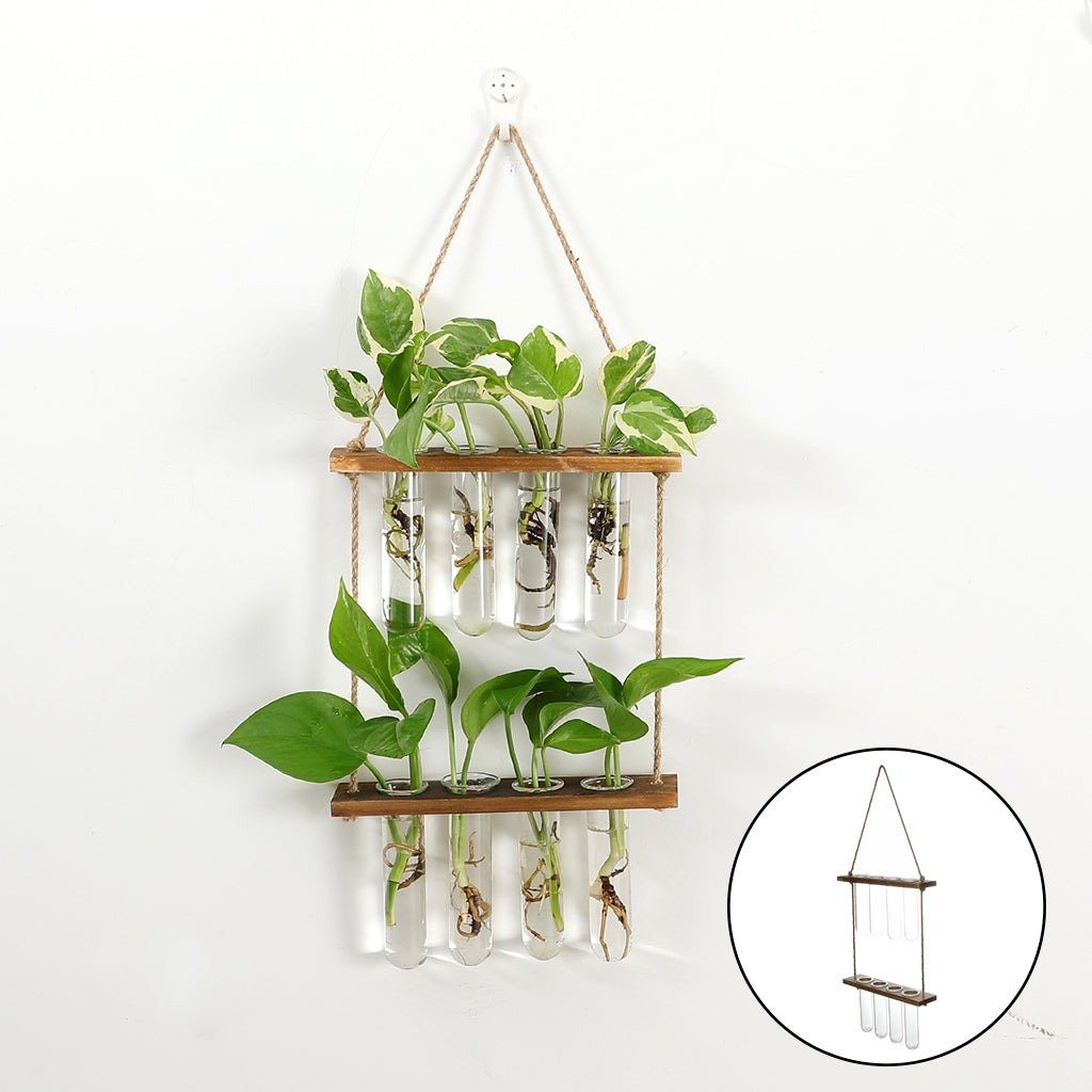 Station de bouturage murale en verre et bois