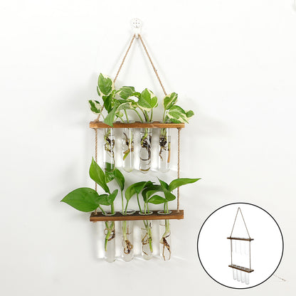 Station de bouturage murale en verre et bois