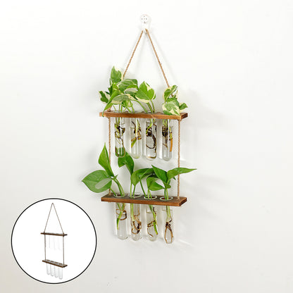 Station de bouturage murale en verre et bois