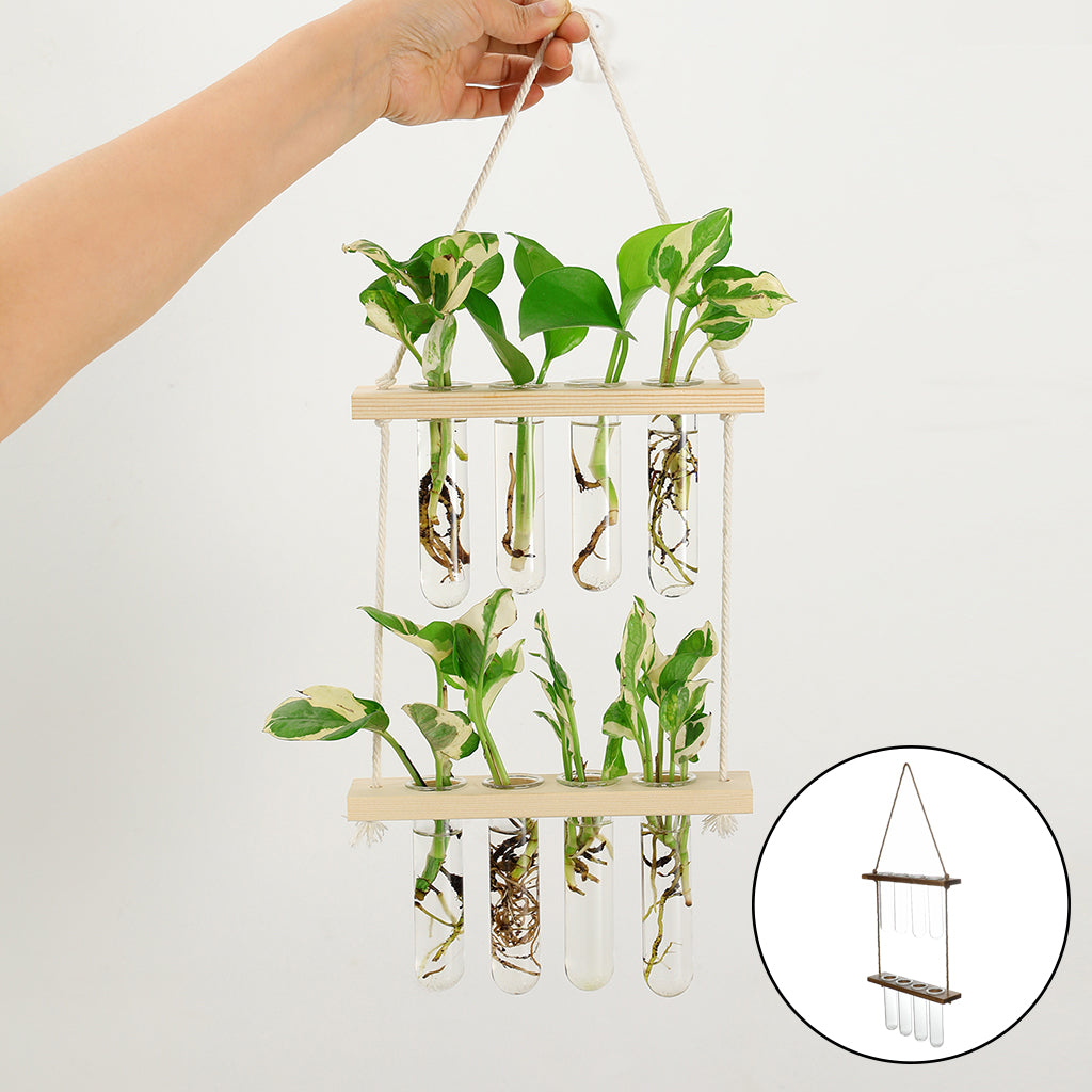 Station de bouturage murale en verre et bois