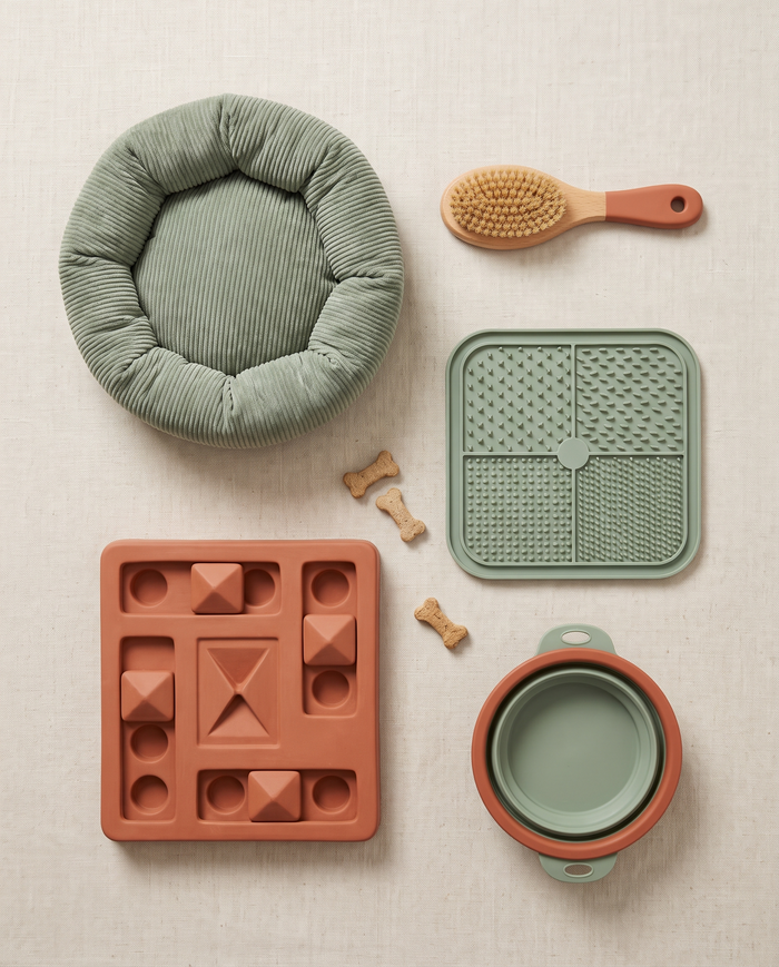 Accessoires pour animaux disposés sur un fond de lin